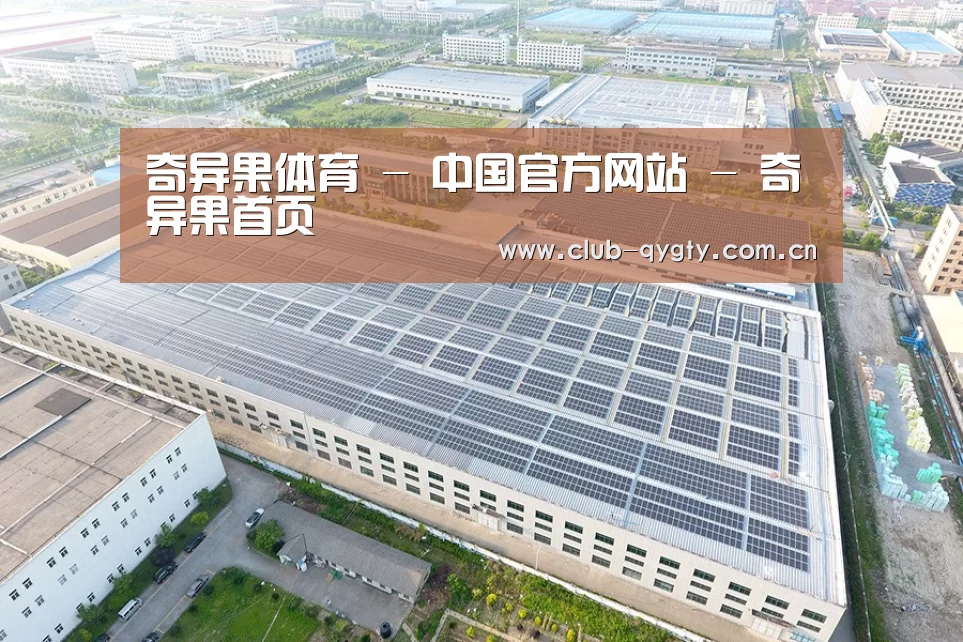 案例展示一