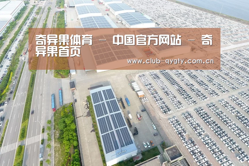 案例展示三