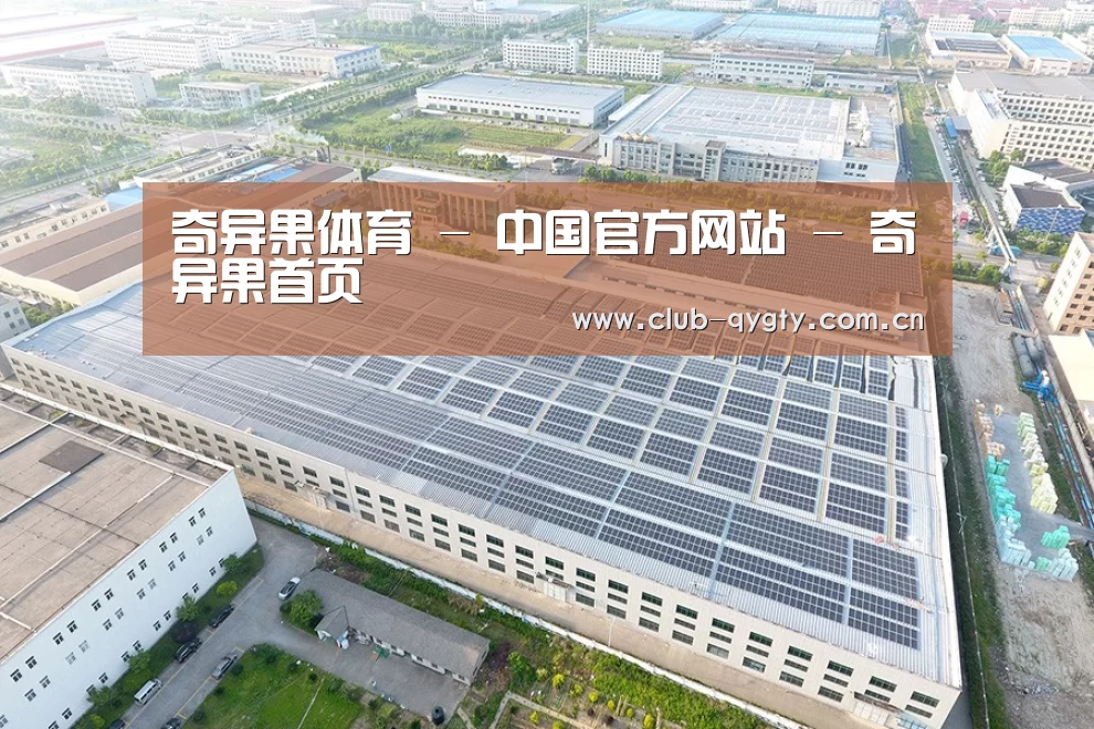 案例展示四